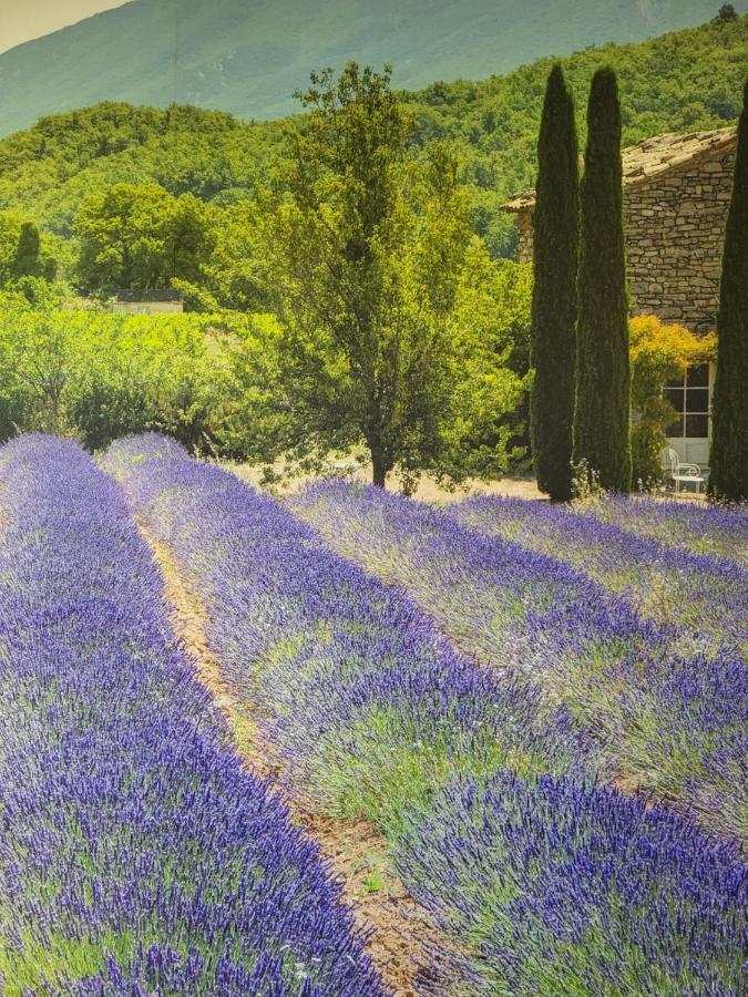 Chambre D Hotes Au Coeur Des Oliviers Marsella Exterior foto